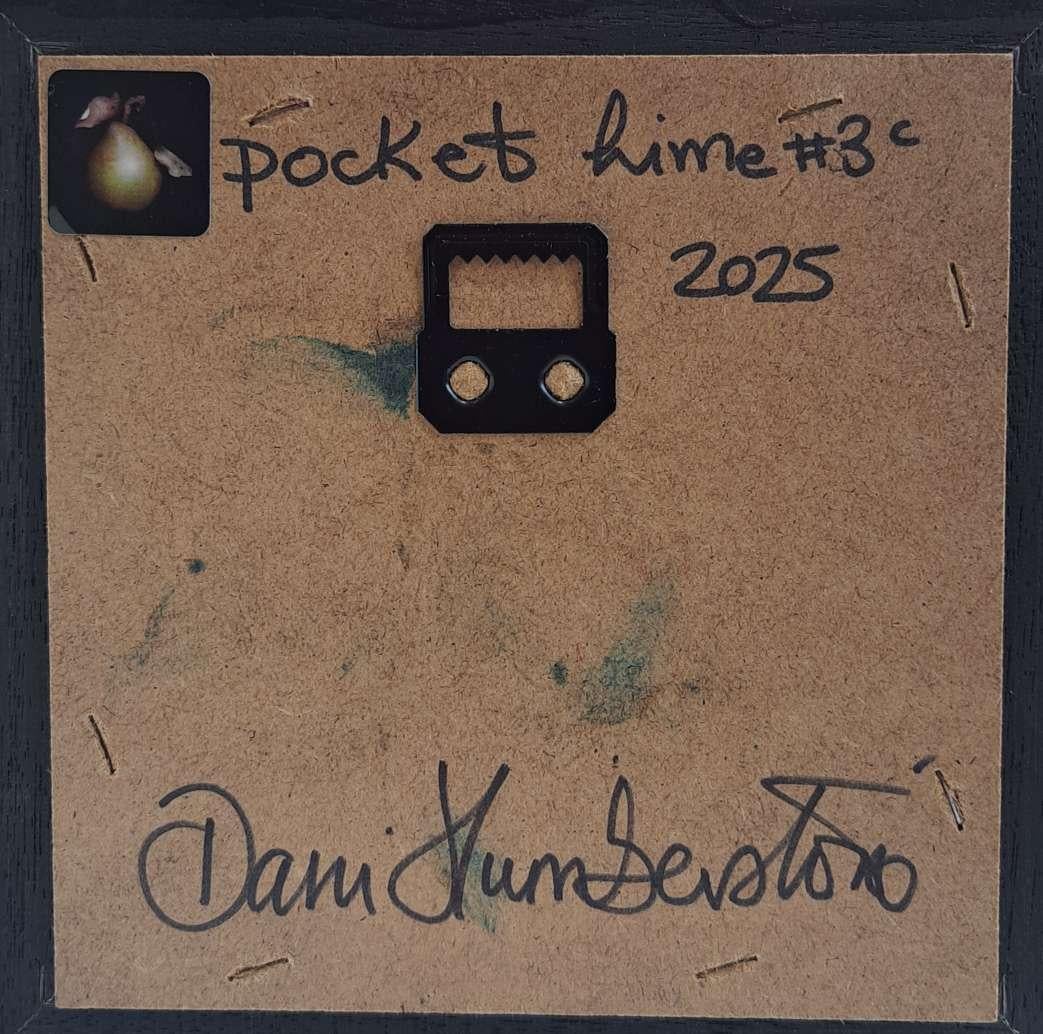 Pocket Lime 3c est une peinture à l'huile originale réalisée par Dani Humberstone dans le cadre de sa série Pocket painting, qui comprend des peintures à l'huile réalistes à petite échelle, avec un clin d'œil aux natures mortes baroques. Les