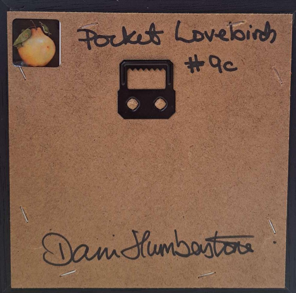 Pocket Lovebirds 9c (canvas size 5x5cm) is an original oil painting by Dani Humberstone as part of her Pocket Painting series featuring small scale realistic oil paintings, with a nod to baroque still life painting. The paintings are set in a black