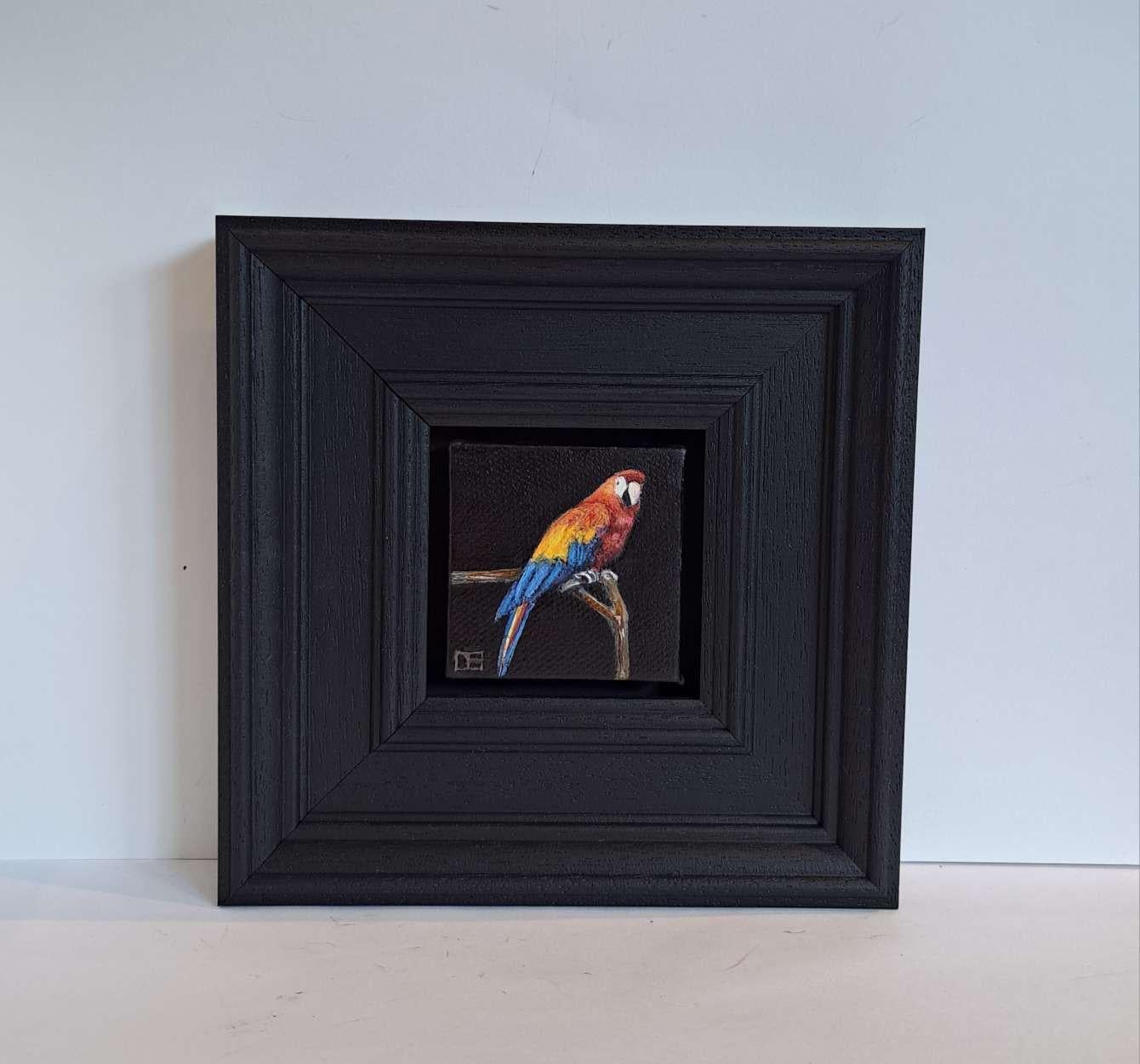 Colección Jungla de Guacamayos de Bolsillo es un óleo original de Dani Humberstone que forma parte de su serie de óleos de bolsillo, en la que presenta óleos realistas a pequeña escala, con un guiño a la pintura barroca de bodegones. Los cuadros
