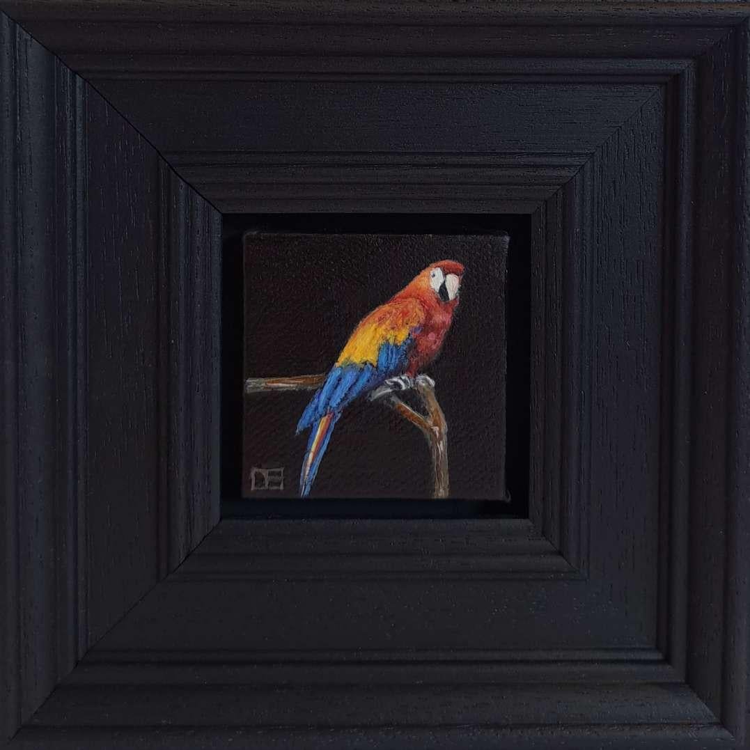 Still-Life Painting de Dani Humberstone - Guacamayo Jungla Colección Pintura de Bolsillo, Naturaleza, Animal, Pájaro Original