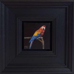 Quadro tascabile Macaw Jungling Collection, Nature, Animale, Uccello Originale
