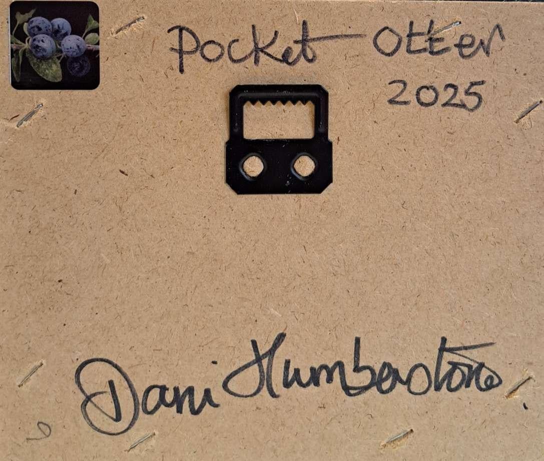Pocket Otter c (canvas size 5x7cm) is an original oil painting by Dani Humberstone as part of her Pocket Painting series featuring small scale realistic oil paintings, with a nod to baroque still life painting. The paintings are set in a black wood