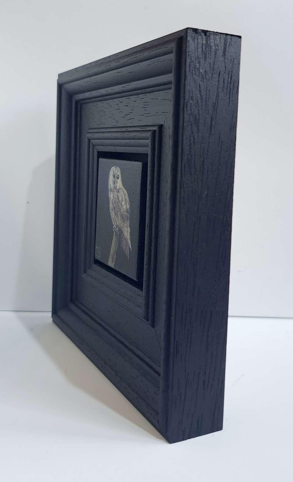 Pocket Tawny Owl est une peinture à l'huile originale de Dani Humberstone qui fait partie de sa série Pocket painting, des peintures à l'huile réalistes à petite échelle, avec un clin d'œil aux natures mortes baroques. Les peintures sont placées