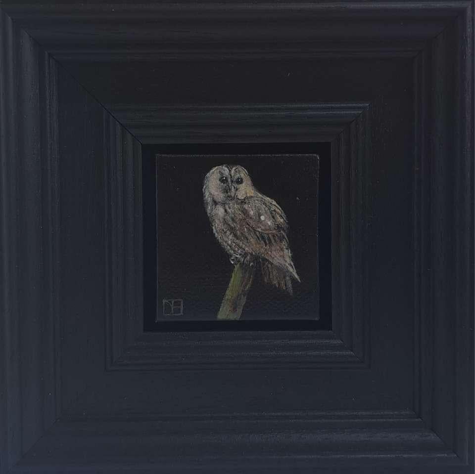 Chouette hulotte et œuf de merle, ensemble de 2, peinture originale, Nature