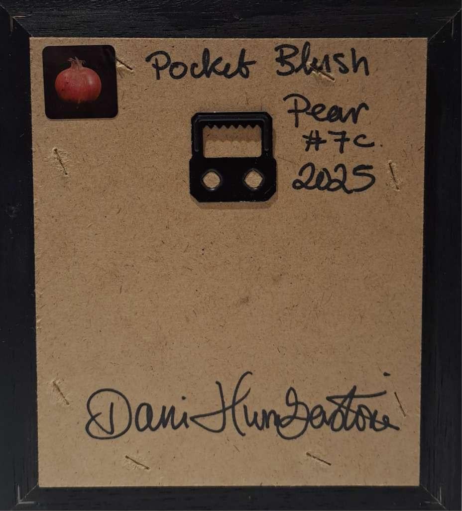 Pear Blush Pocket Painting  7c For Sale 3
