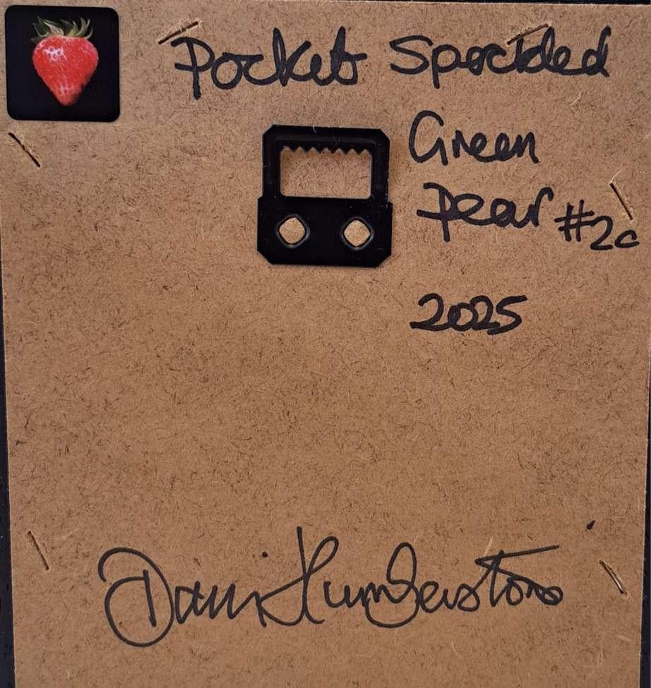 Pocket Green Speckled Pear 2c (taille de la toile 5x5cm) est une peinture à l'huile originale de Dani Humberstone qui fait partie de sa série Pocket painting, des peintures à l'huile réalistes à petite échelle, avec un clin d'œil aux natures mortes