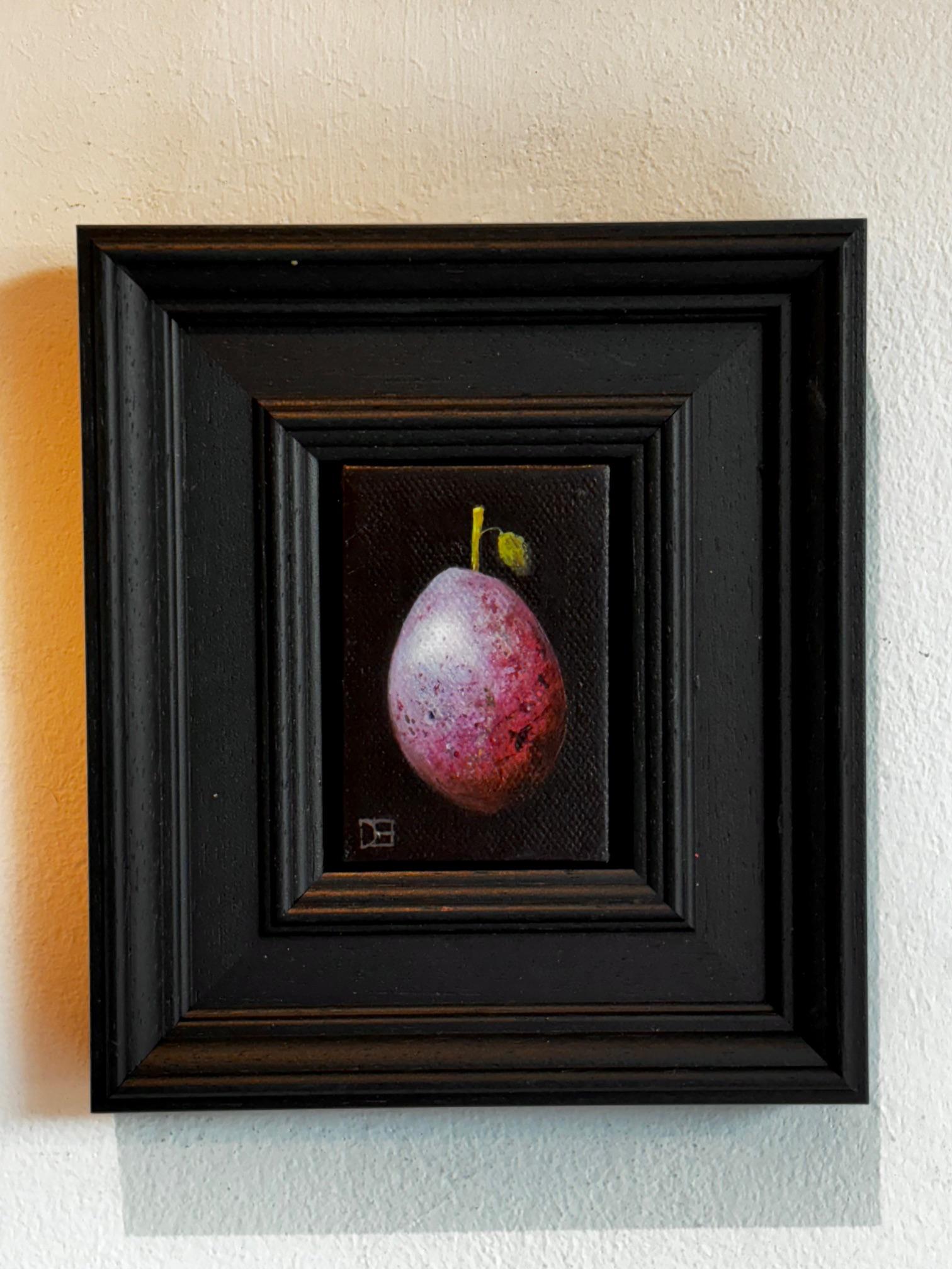 Picked Mauve Plum - original realism still life fruit - contemporary art - Painting by Dani Humberstone