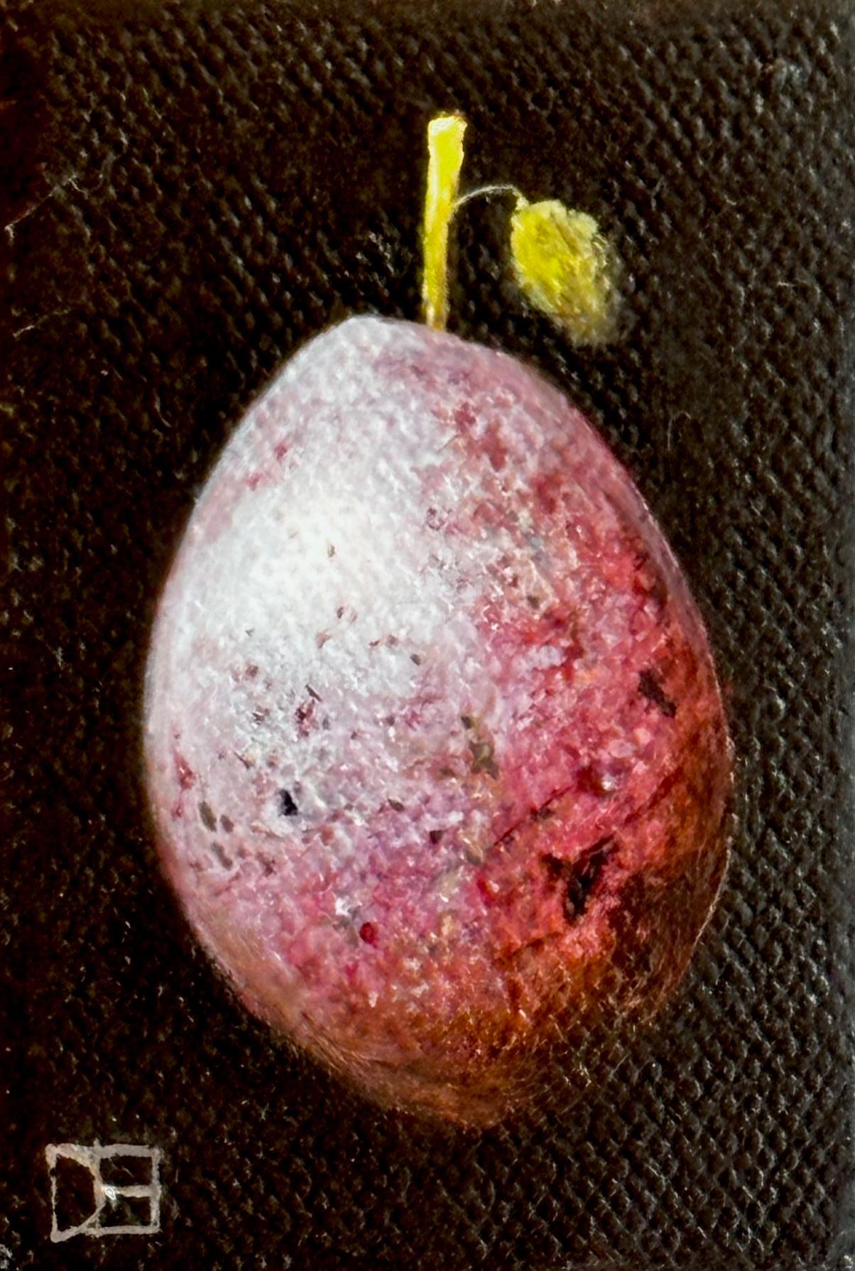 Picked Mauve Plum - original realism still life fruit - contemporary art - Black Interior Painting by Dani Humberstone