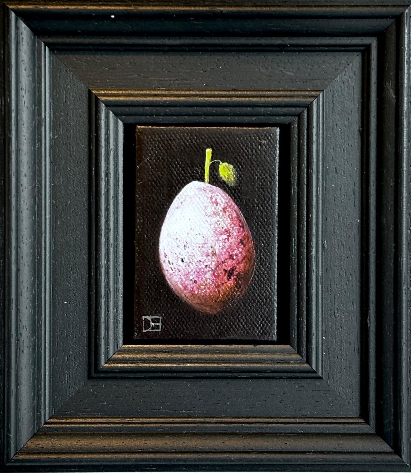 Dani Humberstone Interior Painting - Picked Mauve Plum - original realism still life fruit - contemporary art