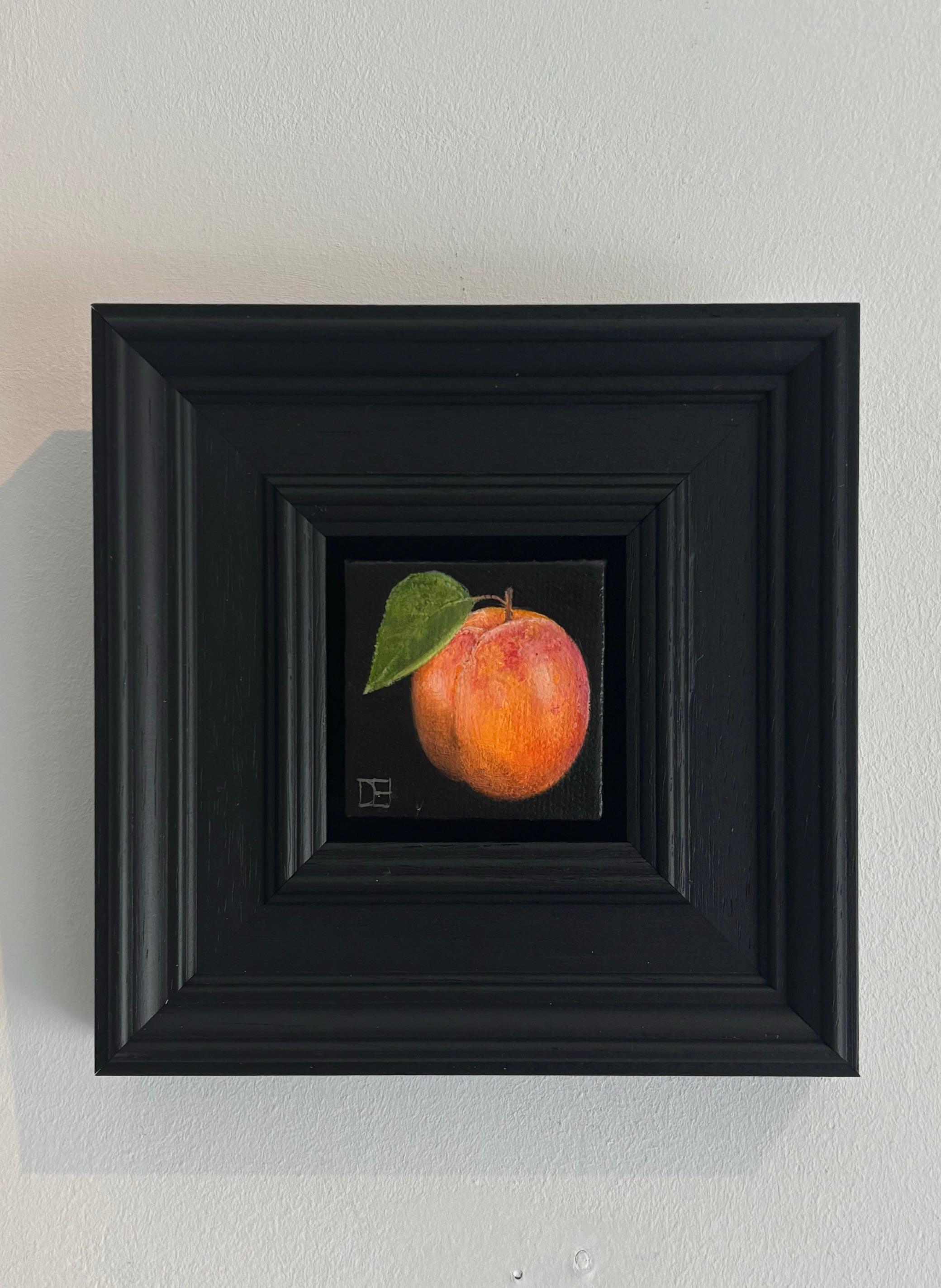 Pocket Apricot - Original Realismus Stillleben Obst - zeitgenössische Kunst (Schwarz), Still-Life Painting, von Dani Humberstone