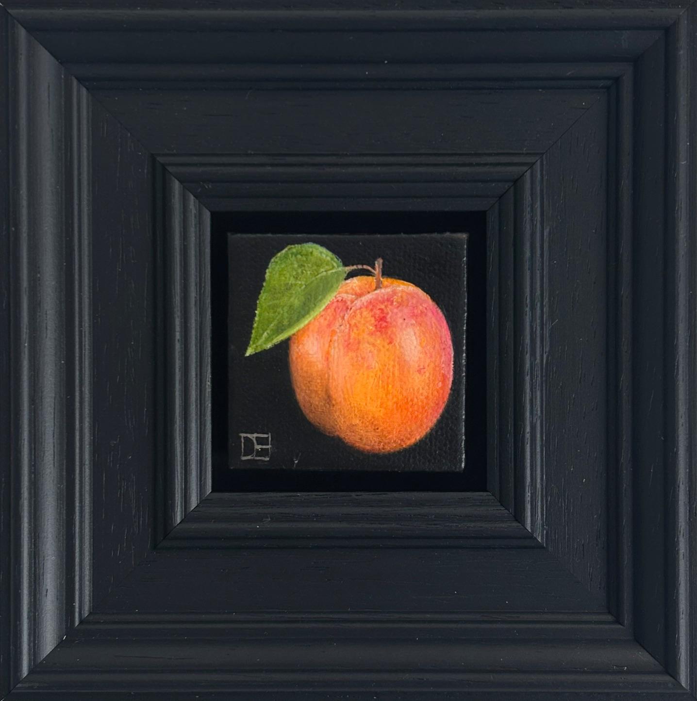Pocket Apricot - Original Realismus Stillleben Obst - zeitgenössische Kunst