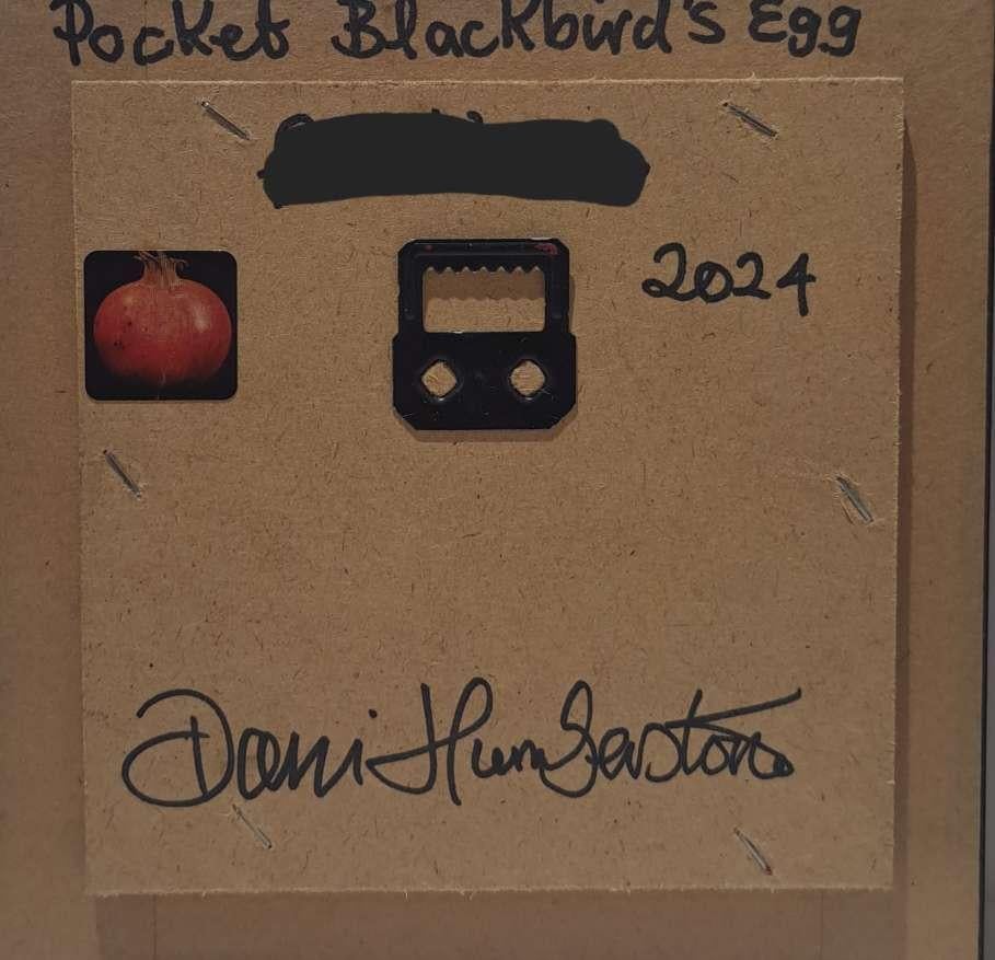 Pocket Blackbird's Egg 3 (c) is an original oil painting by Dani Humberstone as part of her Pocket Painting series featuring small scale realistic oil paintings, with a nod to baroque still life painting. The paintings are set in a black wood