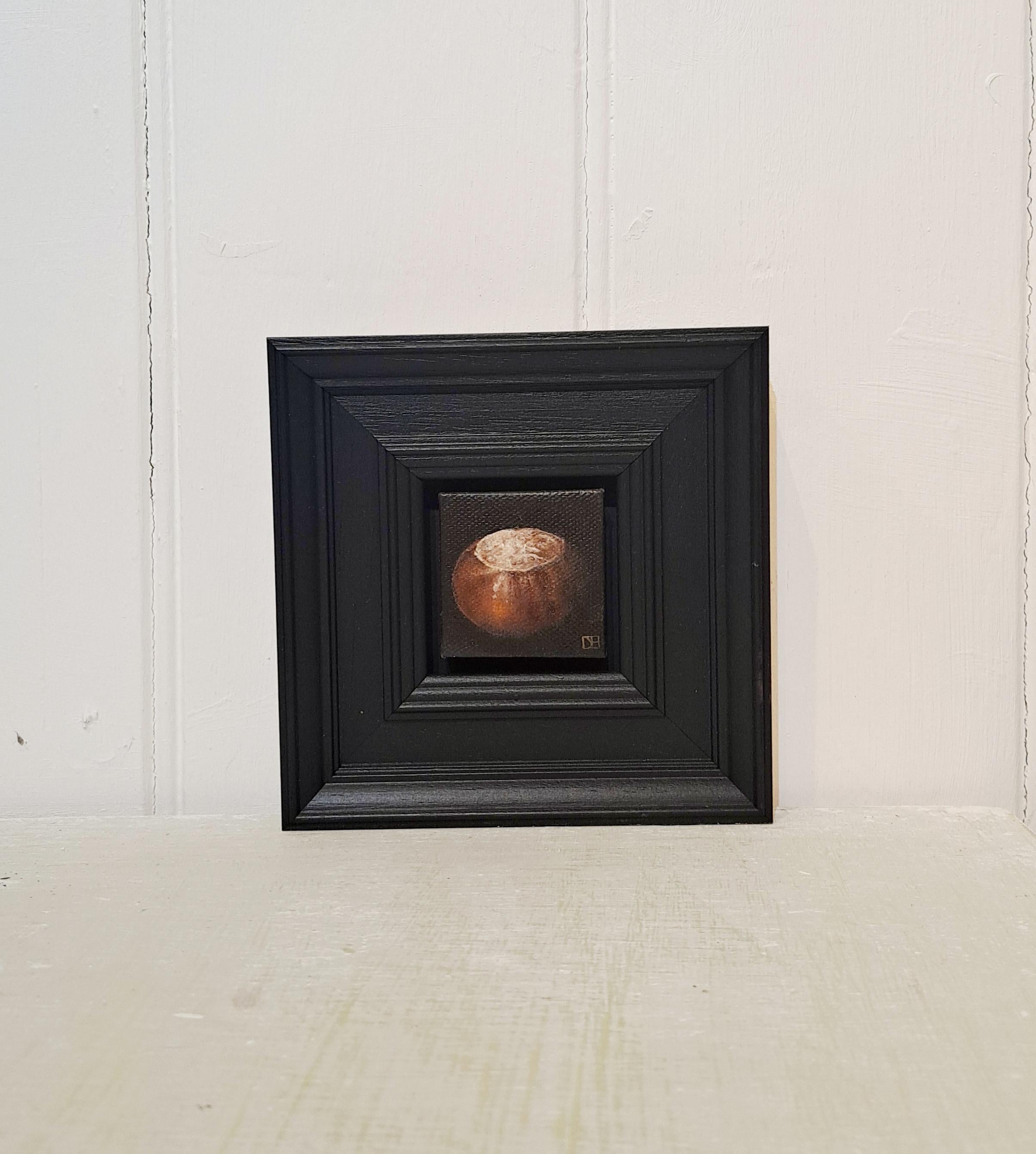 Pocket Conker [2023] is an original oil painting by Dani Humberstone as part of her Pocket Painting series featuring small scale oil realistic oil paintings with a nod to baroque still life. The paintings are set in a black wood layered