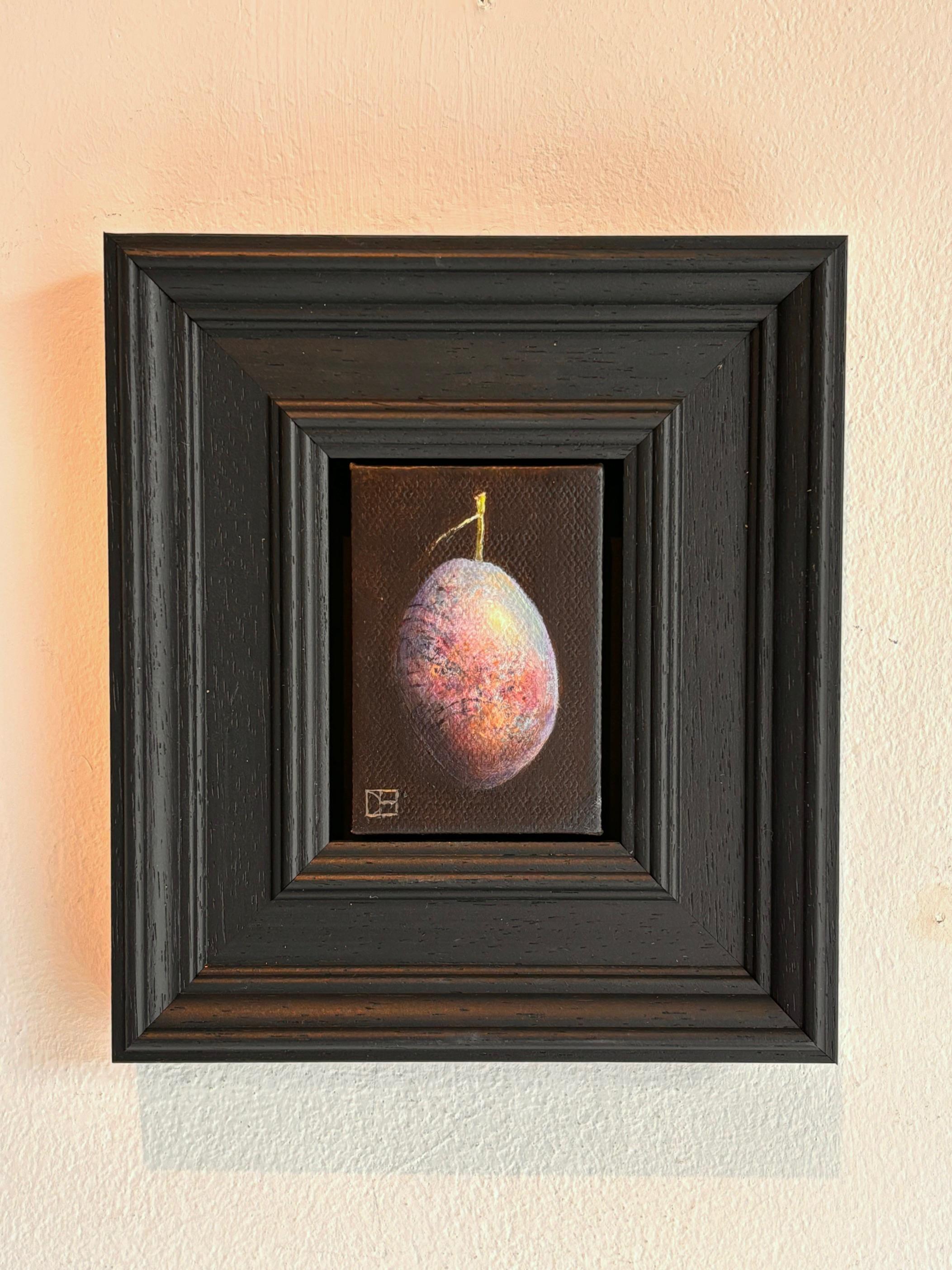 Pocket Damson - Original Realismus Stillleben Obst - zeitgenössische Kunst – Painting von Dani Humberstone