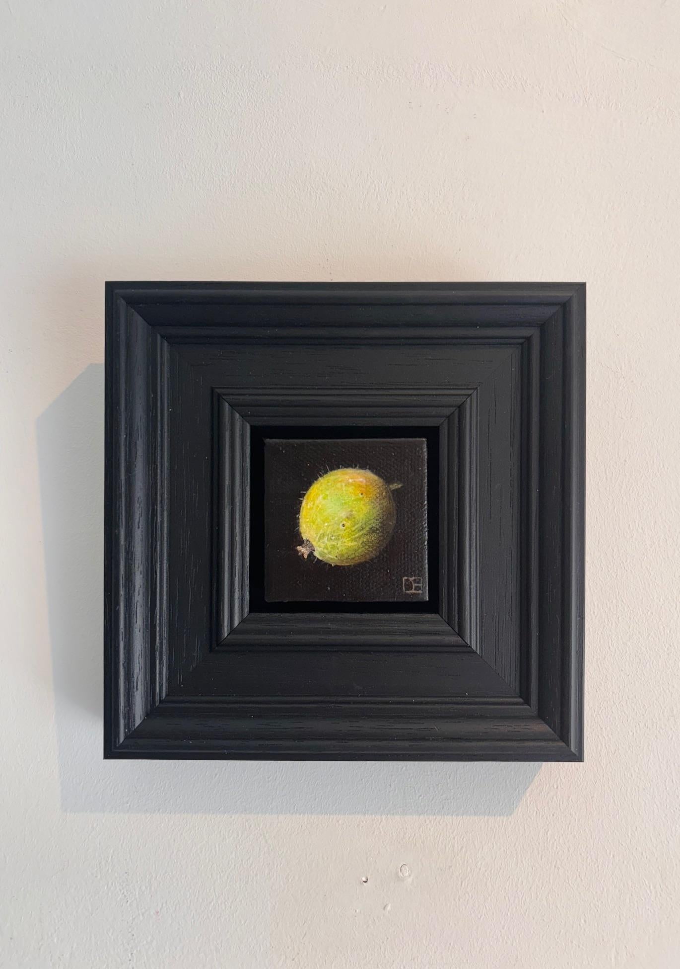 Taschenstachelbeere - Original Realismus Stillleben Obst - zeitgenössische Kunst – Painting von Dani Humberstone