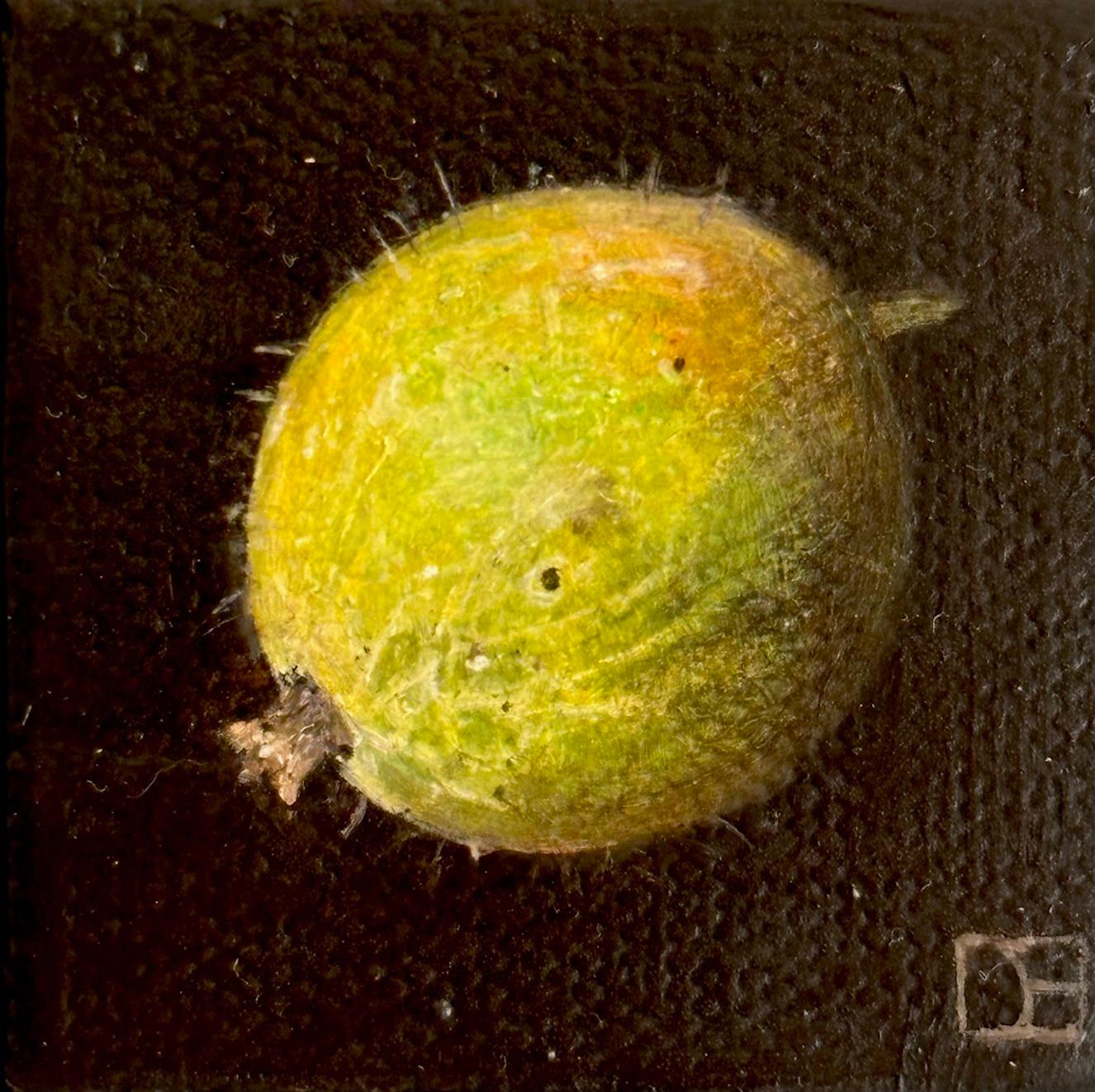 Taschenstachelbeere - Original Realismus Stillleben Obst - zeitgenössische Kunst (Schwarz), Still-Life Painting, von Dani Humberstone
