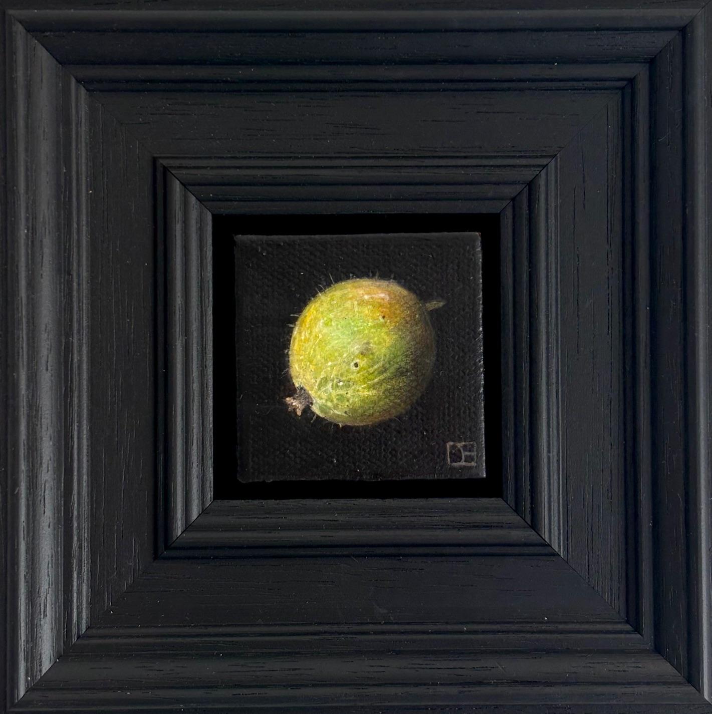 Dani Humberstone Still-Life Painting – Taschenstachelbeere - Original Realismus Stillleben Obst - zeitgenössische Kunst
