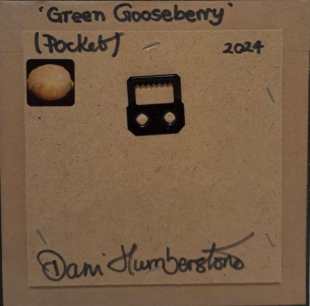 Pocket Green Gooseberry, Baroque Still Life Painting, Small Art, Fruit Art For Sale 1