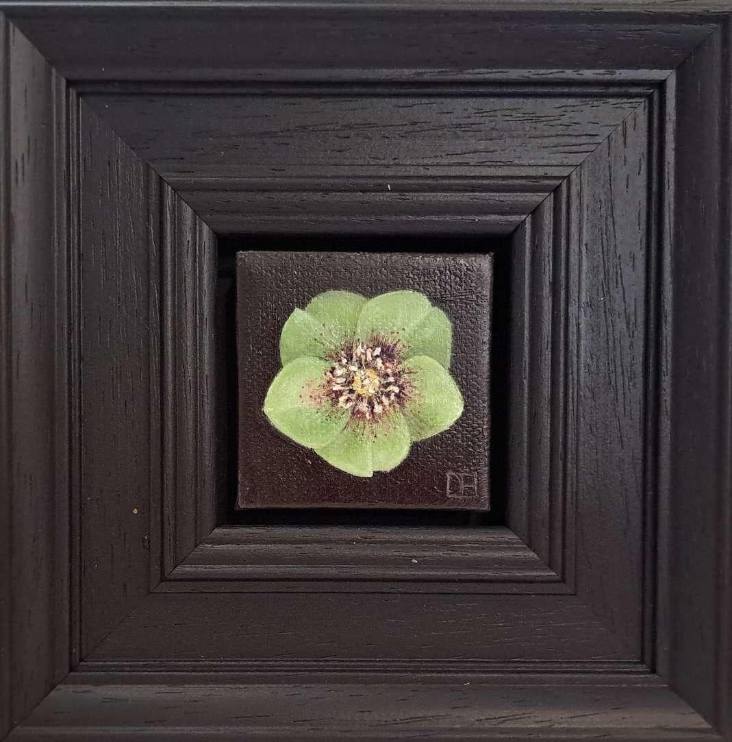 Dani Humberstone Still-Life Painting - Pocket Green Hellebore (c), Original Painting, Flower, Nature, Spring art