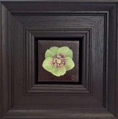 Used Pocket Green Hellebore (c), Original Painting, Flower, Nature, Spring art
