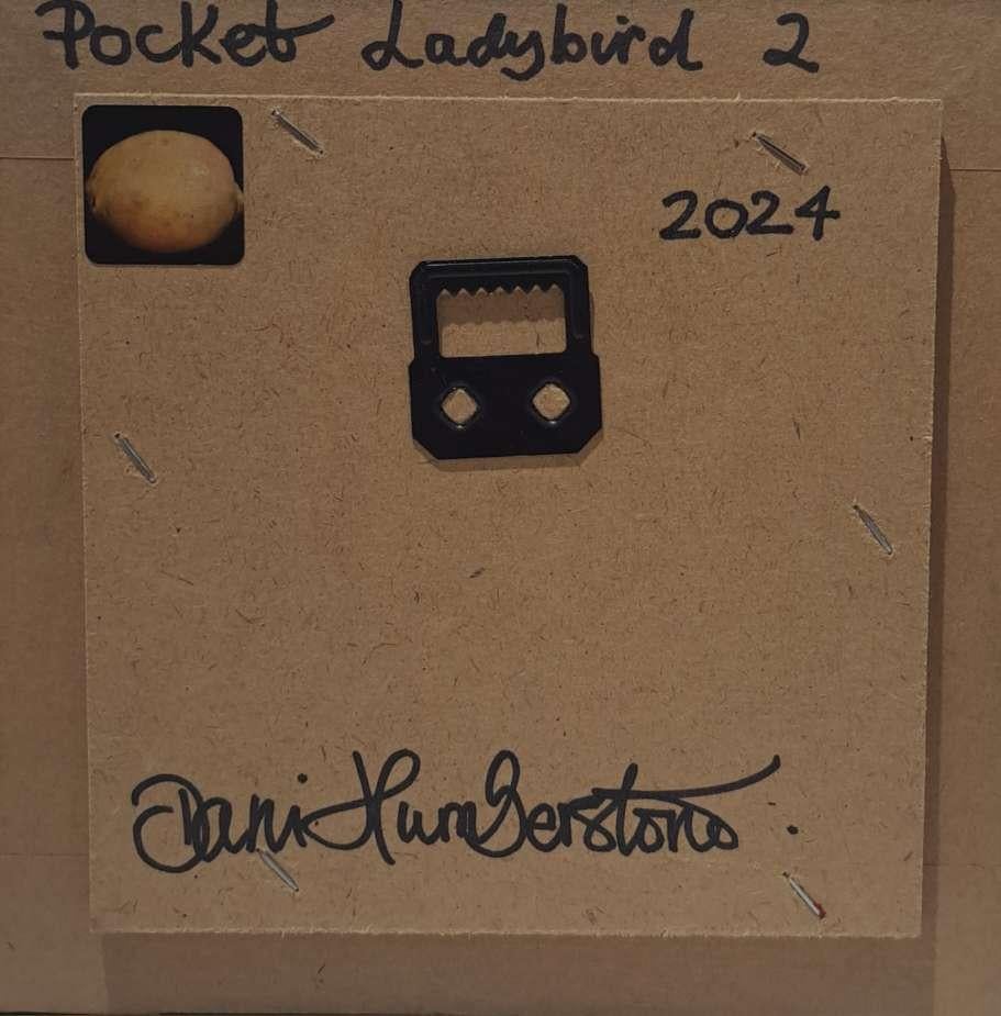 Pocket Ladybird 2 ist ein Original-Ölgemälde von Dani Humberstone als Teil ihrer Pocket Painting-Serie, die realistische Ölgemälde in kleinem Maßstab mit einer Anspielung auf die barocke Stilllebenmalerei umfasst. Die Gemälde sind in einen schwarzen