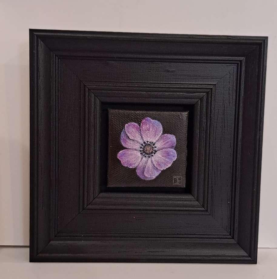 Pocket Mauve Anemone 2 (c) is an original oil painting by Dani Humberstone as part of her Pocket Painting series featuring small scale realistic oil paintings, with a nod to baroque still life painting. The paintings are set in a black wood layered