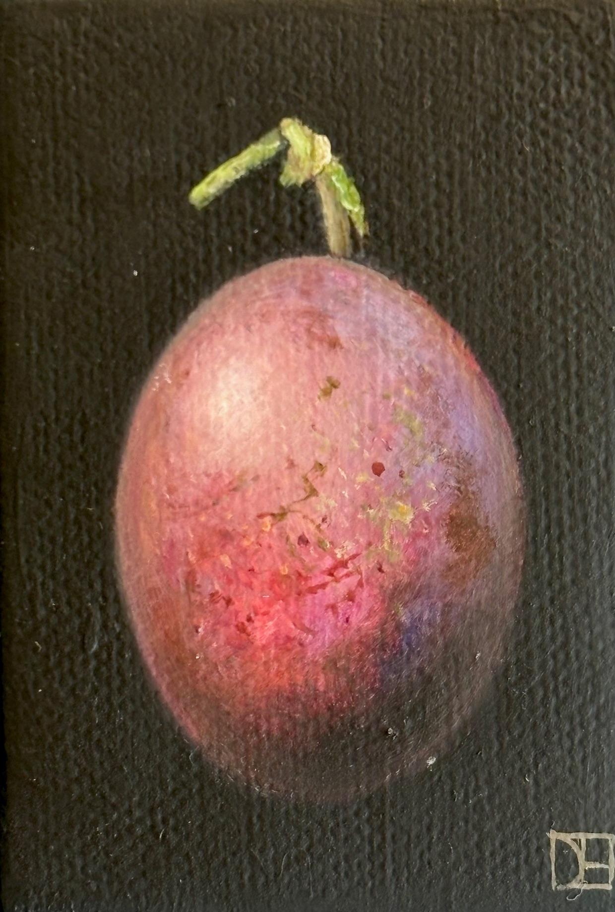 Pocket Mauve Plum - natura morta originale e realistica - arte contemporanea - Still-Life Painting Nero di Dani Humberstone