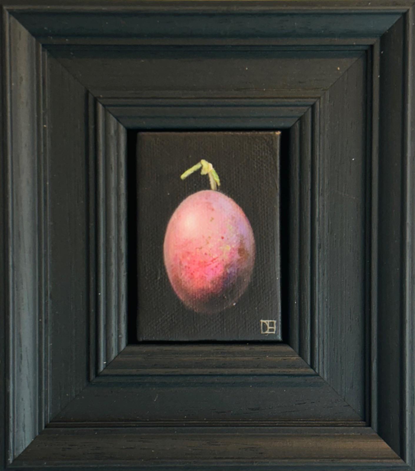 Pocket Mauve Plum - original realism still life fruit - contemporary art