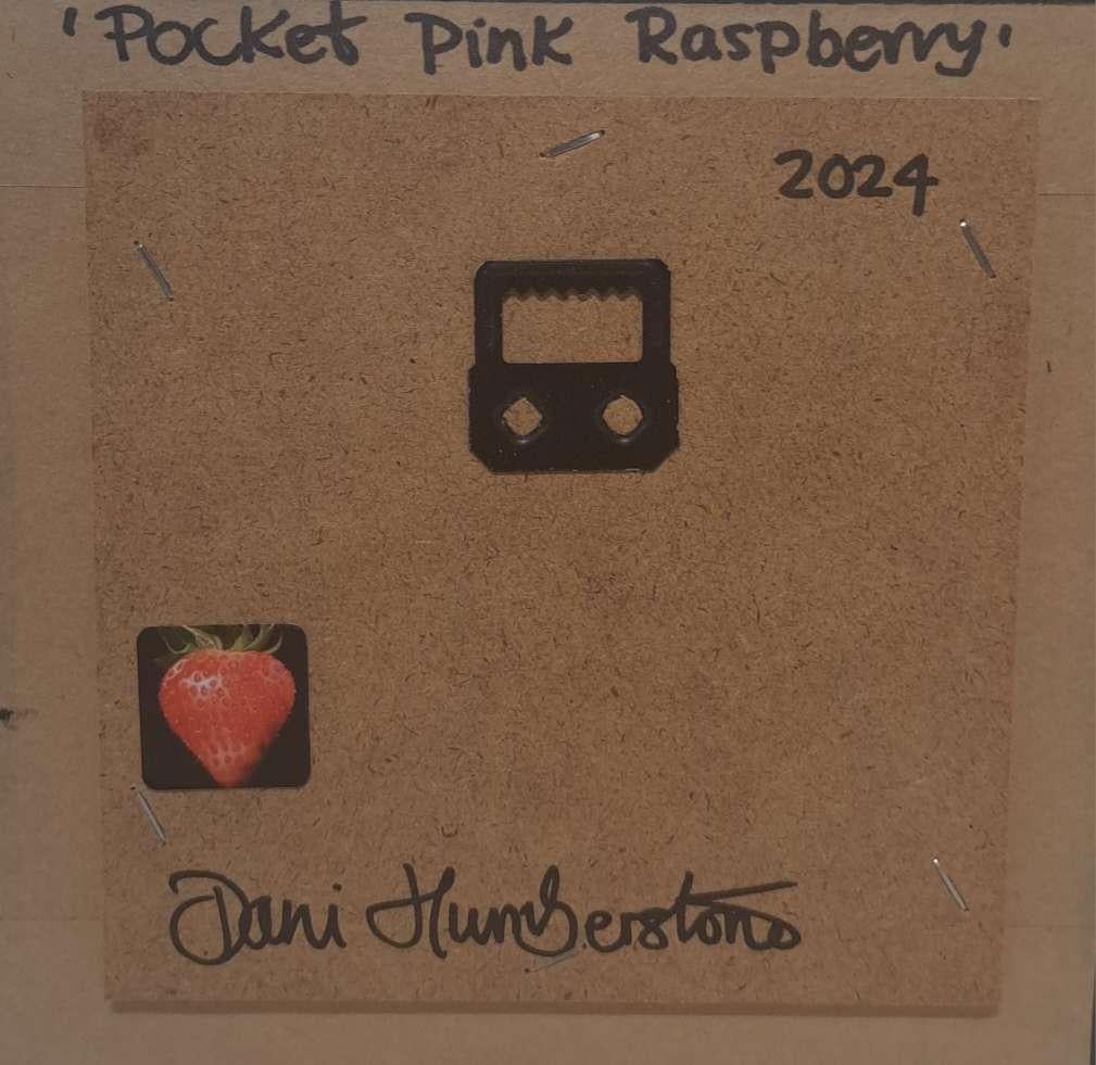 Frambuesa rosa de bolsillo, bodegón barroco, frambuesa, realismo, fruta 2