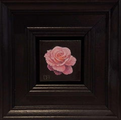 Pocket Pink Rose, Baroque Still Life, flower, floral, rose 