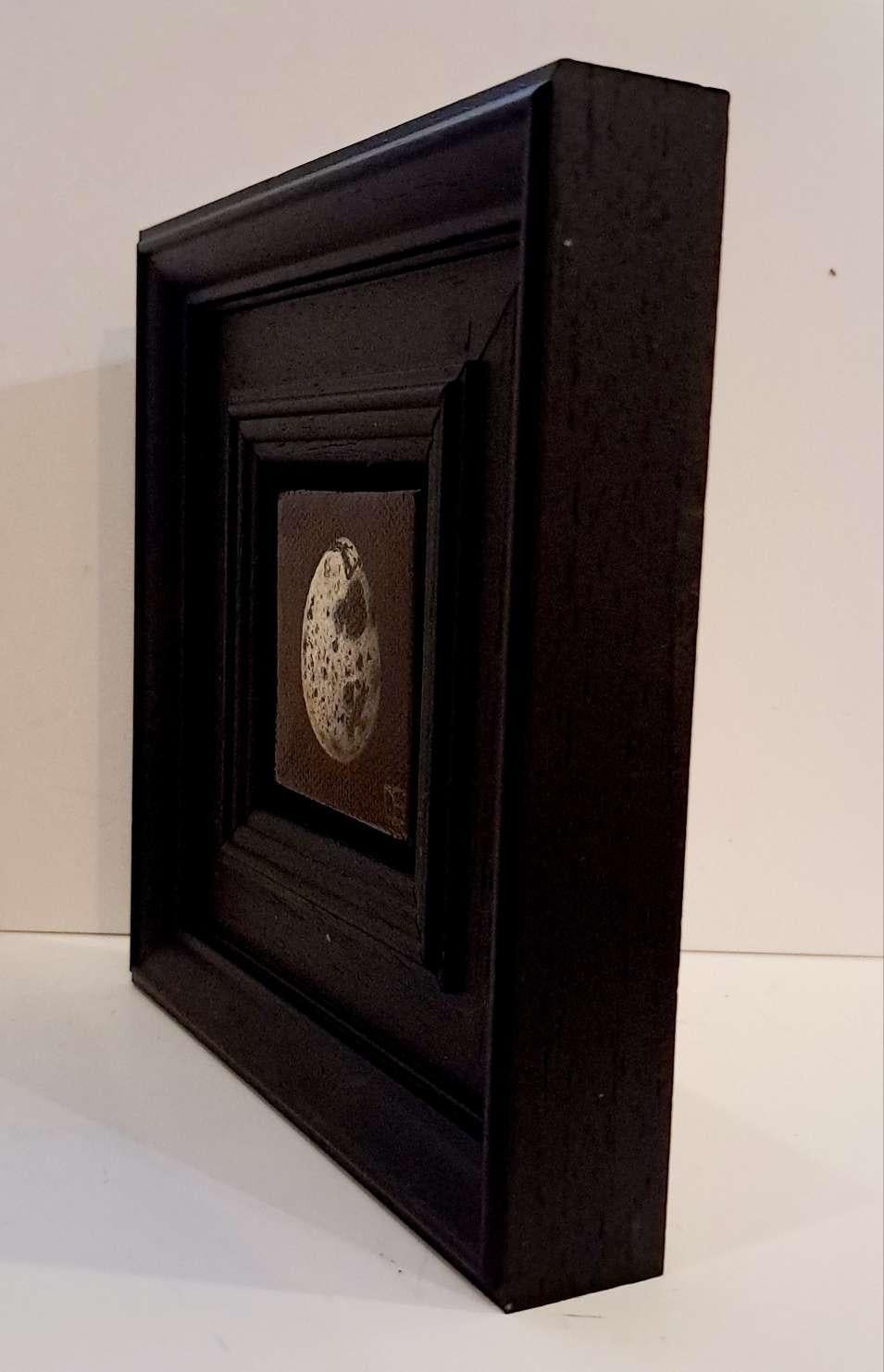 Uovo di quaglia tascabile (c), Pittura originale, Natura morta, Arte delle uova, Uccelli, Nature art - Landscape Painting Nero di Dani Humberstone