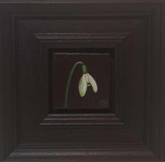 Pocket Snowdrop 3, Baroque Still Life, flower