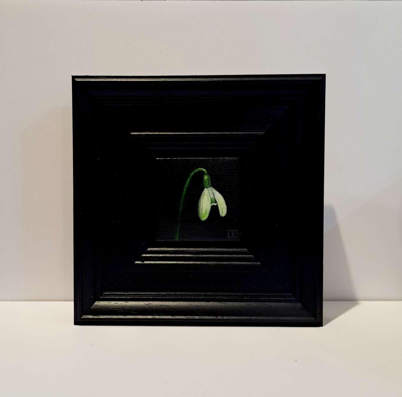 Pocket Snowdrop 4 is an original oil painting by Dani Humberstone as part of her Pocket Painting series featuring small scale realistic oil paintings, with a nod to baroque still life painting. The paintings are set in a black wood layered