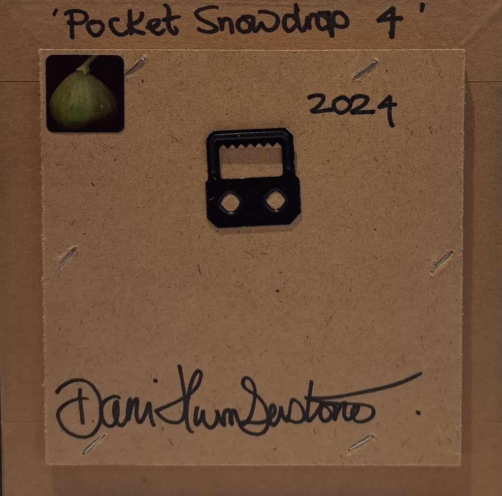 Pocket Snowdrop 4, Originalgemälde, Barock-Stillleben, Blumenkunst, Blume im Angebot 1