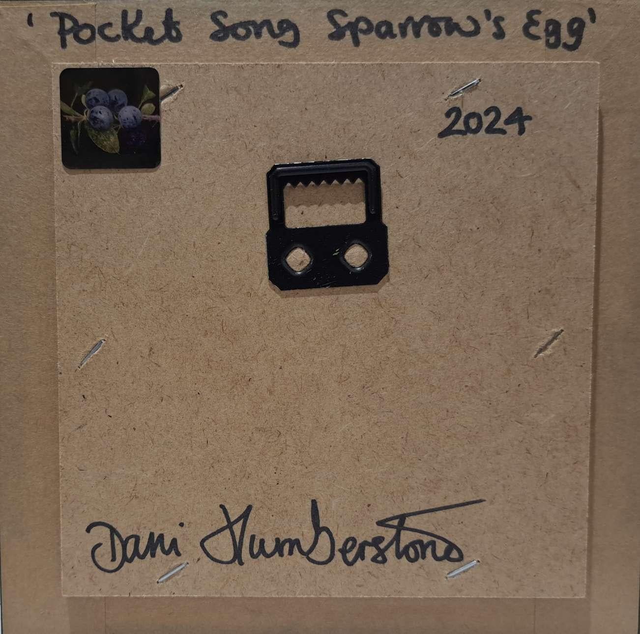 Pocket Song Sparrow Egg, Baroque Still Life, Birds, Animals, Nature, Affordable  3