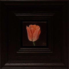 Pocket Sunset Dynasty Tulip, Original Painting, Flower, Still Life, Plant