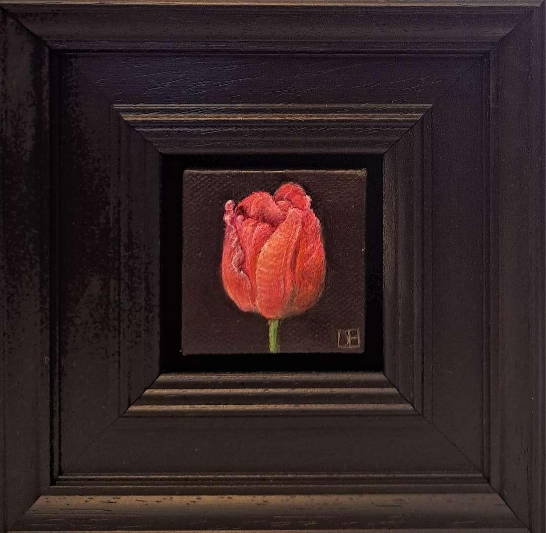 Dani Humberstone Landscape Painting - Pocket Veronique Tulip, Original Painting, Floral art, Nature, Red, Affordable