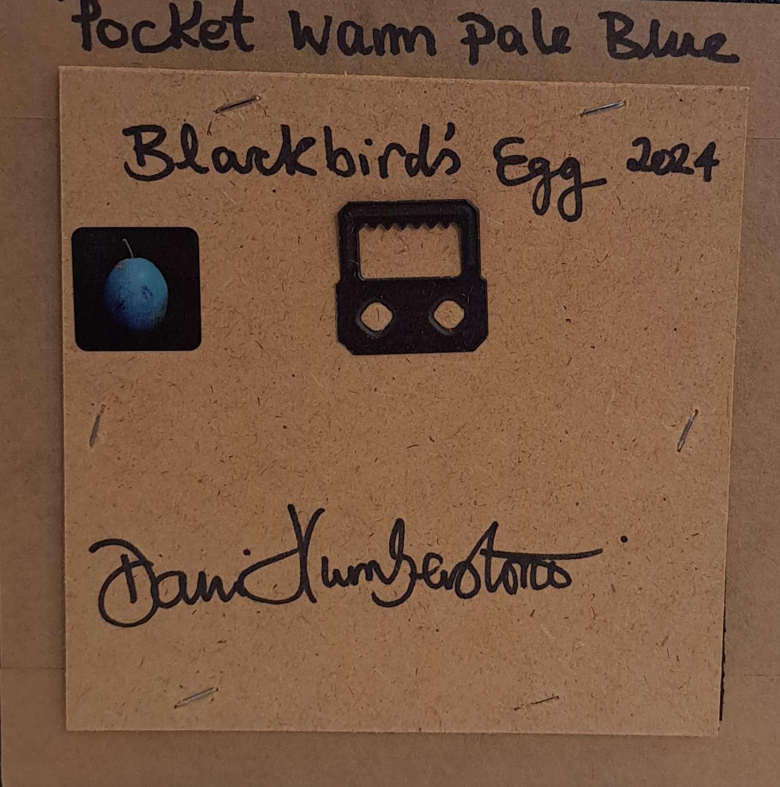 Pocket Warm Pale Blue Blackbird's Egg es un óleo original de Dani Humberstone que forma parte de su serie Pocket Painting, que presenta óleos realistas a pequeña escala, con un guiño a la pintura barroca de bodegones. Los cuadros están colocados en