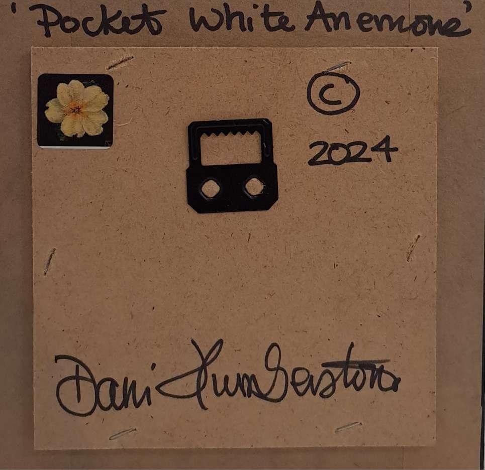 Pocket White Anemone (c) è un dipinto a olio originale di Dani Humberstone che fa parte della sua serie Pocket Painting, caratterizzata da dipinti a olio realistici in scala ridotta, con un accenno alla pittura barocca di nature morte. I dipinti