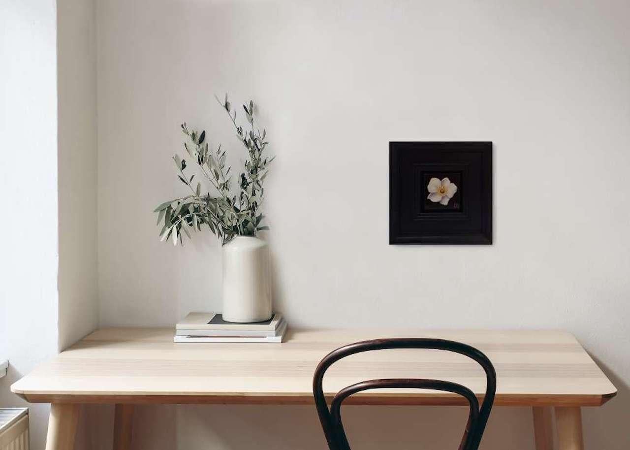 Anemone bianca tascabile (c), Pittura originale, Natura morta, Arte floreale, Floreale 2