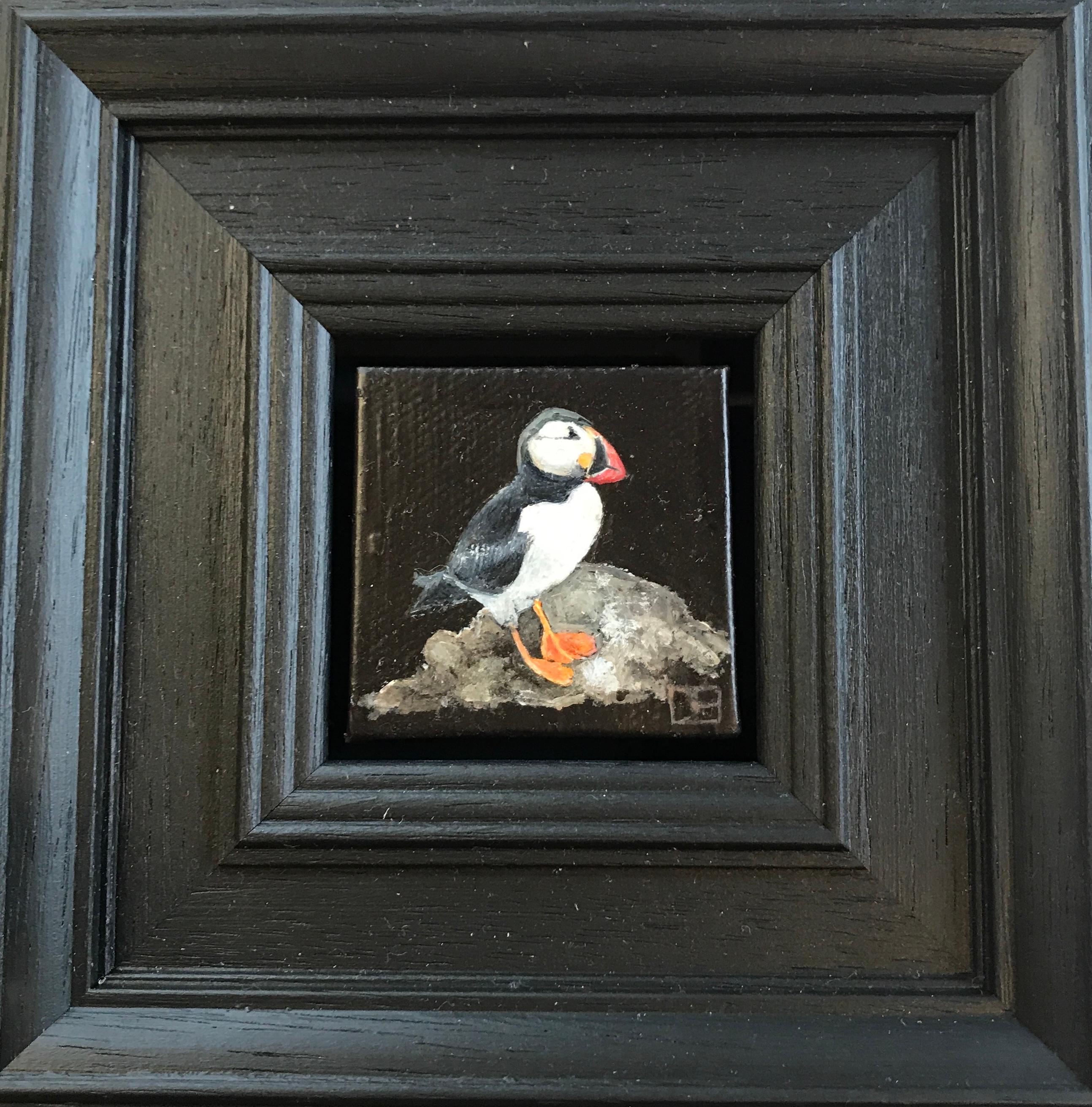 Pocket Puffin Wildlife Collection is an original oil painting by Dani Humberstone as part of her Pocket Painting series featuring small scale realistic oil paintings, with a nod to baroque still life painting. The paintings are set in a black wood