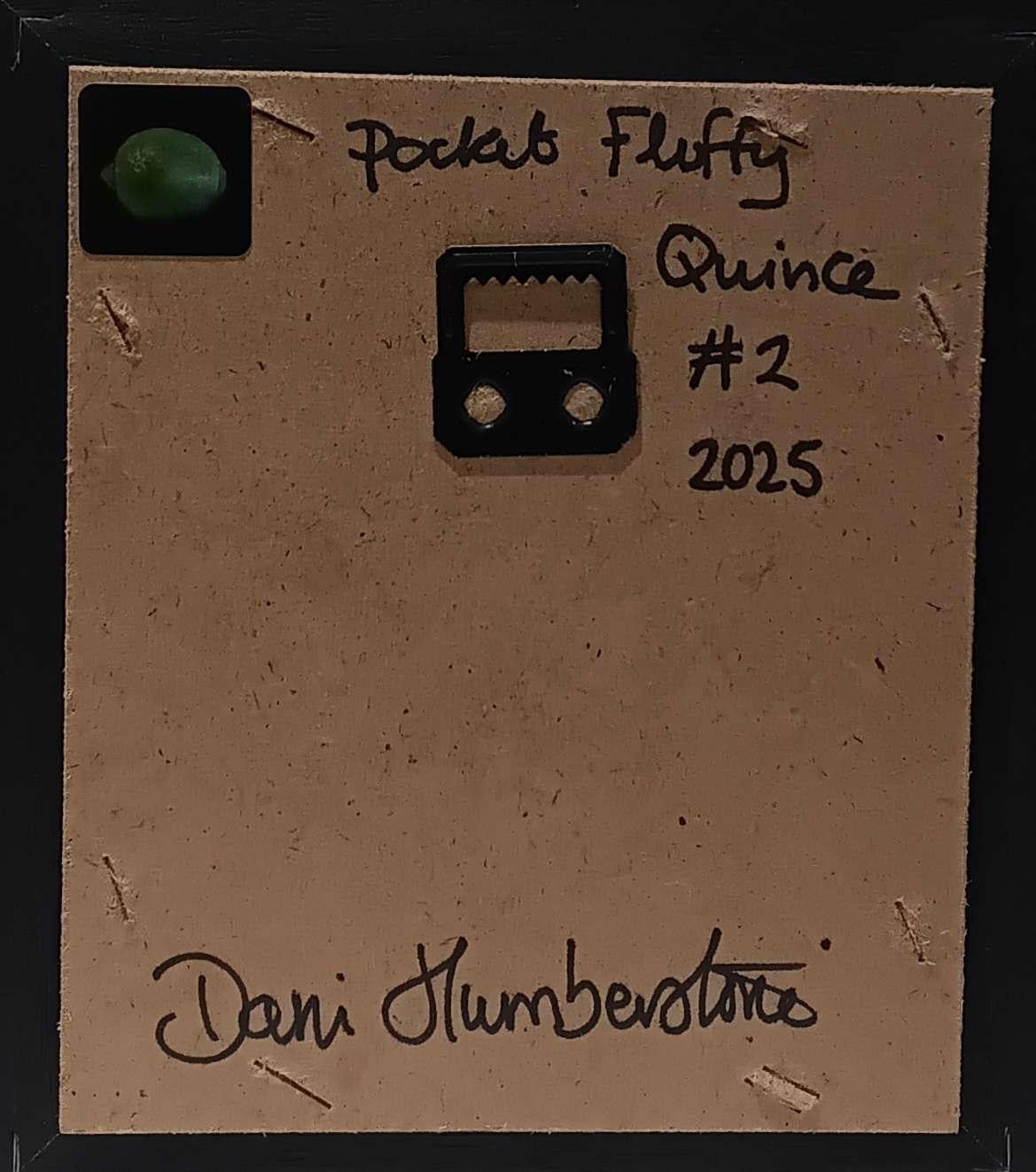 Quince Fluffy Pocket Painting 2, peinture originale, contemporaine en vente 4