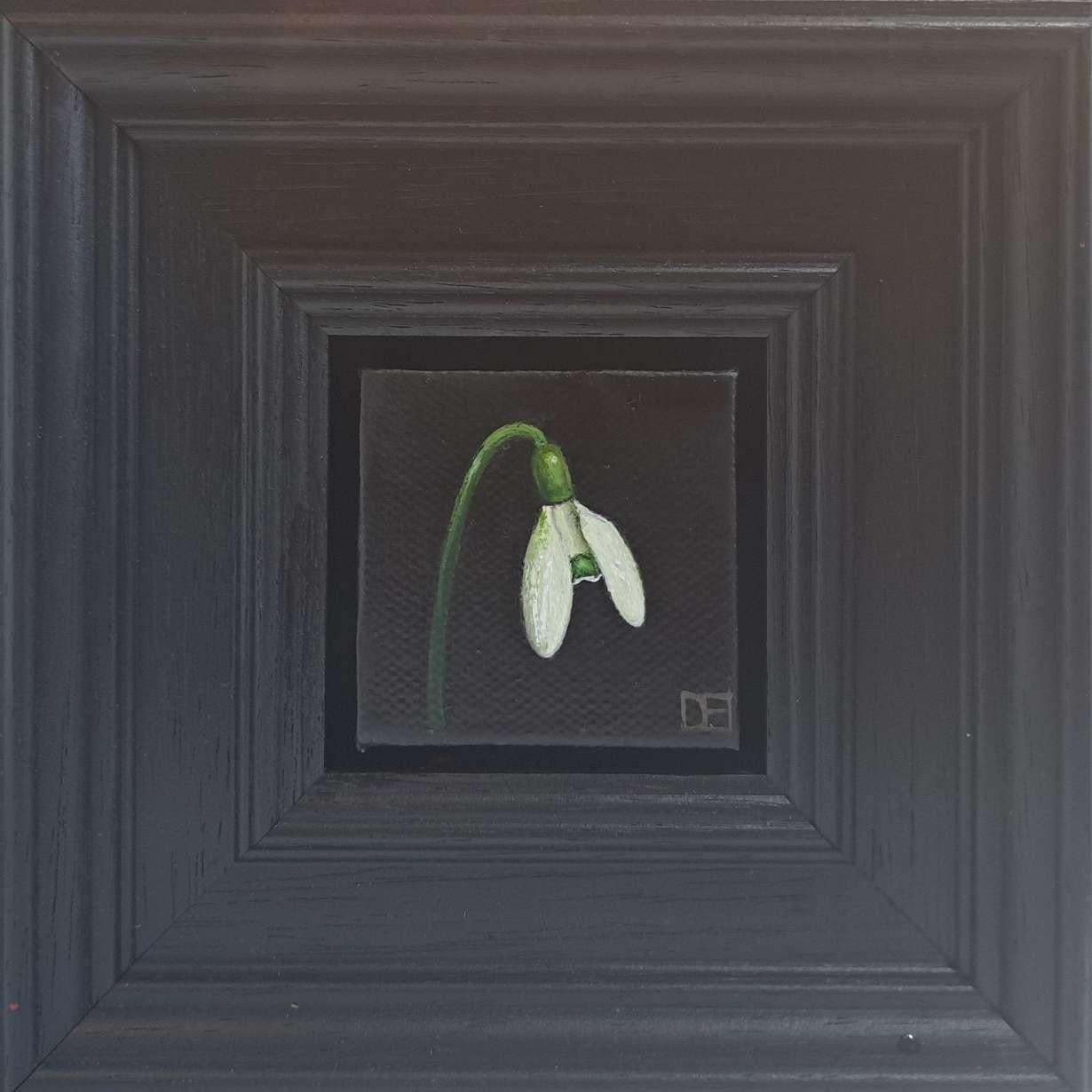 Still-Life Painting di Dani Humberstone - Bucaneve Pocket Painting 6c, quadro originale, natura morta, Nature