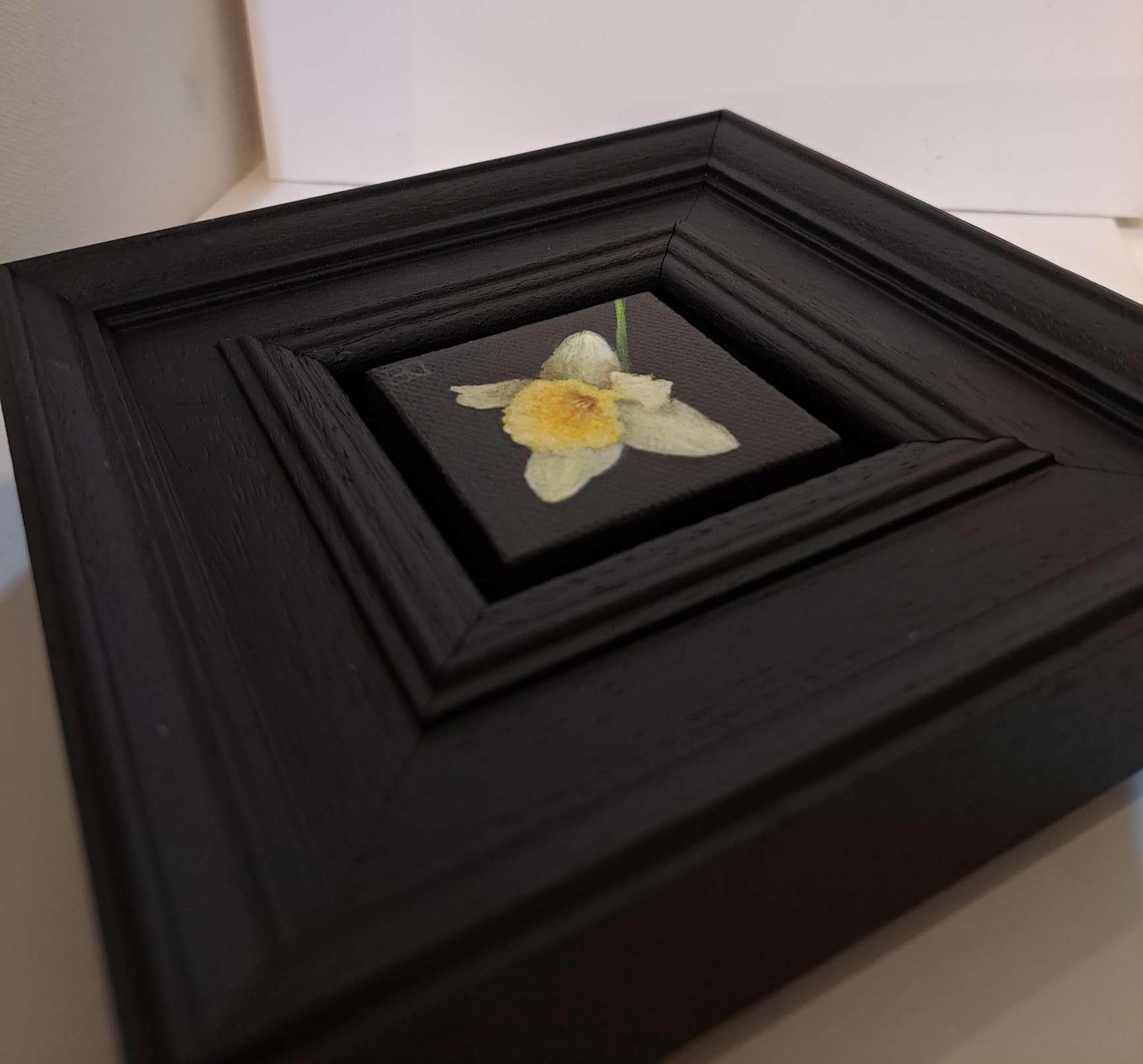 Spring Collection: Pocket Daffodil [2024], Baroque Still Life, flower - Realist Painting by Dani Humberstone