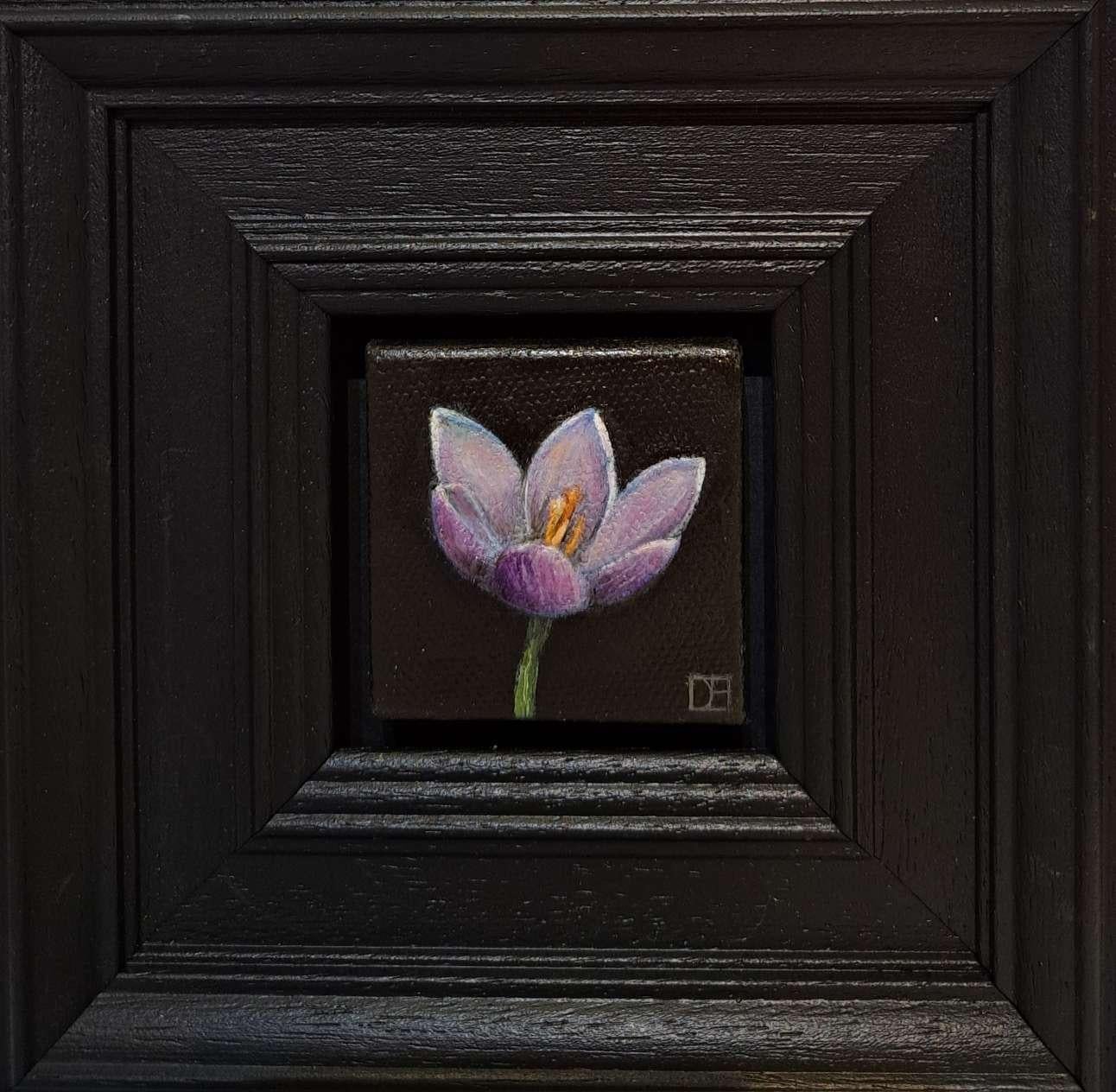 Dani Humberstone Still-Life Painting - Spring Collection: Pocket Violet Crocus, Baroque Still Life, flower