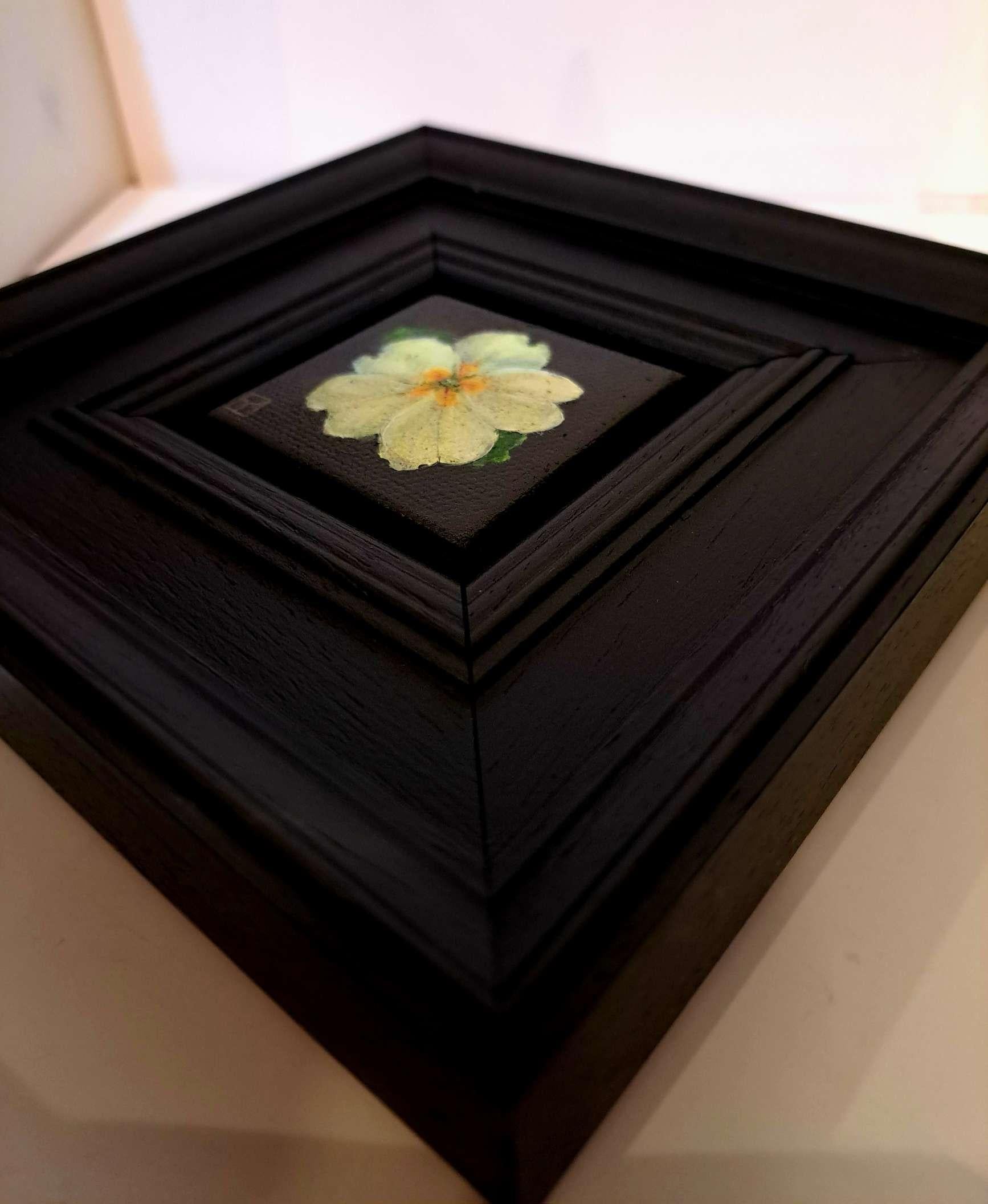 Spring Collection: Pocket Yellow Primrose is an original oil painting by Dani Humberstone as part of her Pocket Painting series featuring small scale realistic oil paintings, with a nod to baroque still life painting. The paintings are set in a