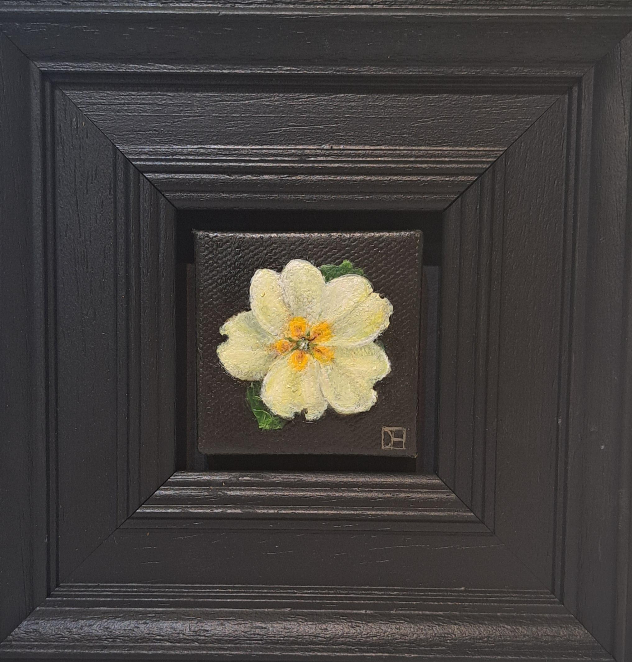 Dani Humberstone Still-Life Painting - Spring Collection: Pocket Yellow Primrose [2024], Baroque Still Life, flower