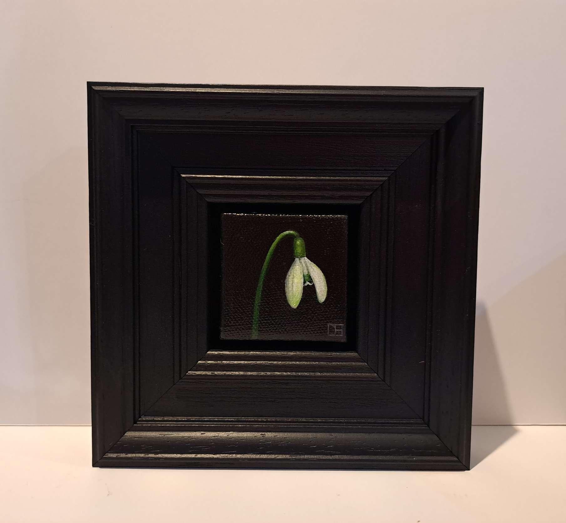Spring Collection: Snowdrop 5 with Oil Paint, Painting by Dani Humberstone For Sale 2