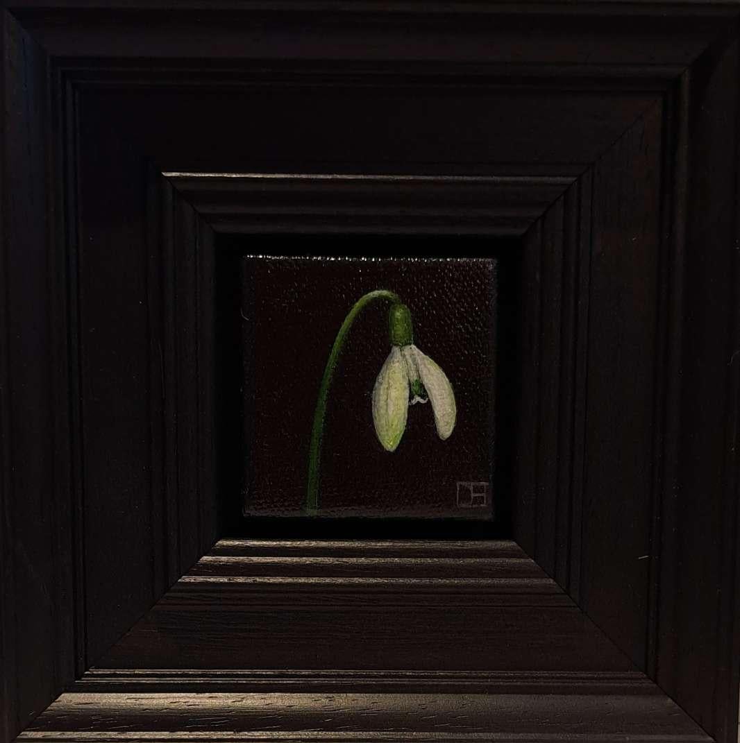Spring Collection: Snowdrop 5 is an original oil painting by Dani Humberstone as part of her Pocket Painting series featuring small scale realistic oil paintings, with a nod to baroque still life painting. The paintings are set in a black wood