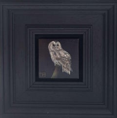Tawny Owl Pocket Painting 243, original painting, still-life